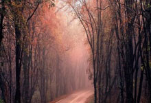 皇冠体育：伊利亚拉门迪：效力皇马是我生涯的重要一步；皇社很难被击败.