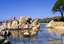 第九届亚冬会抵离服务今日开启央视新闻客户端.